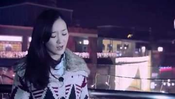 国产三七区精品视频,探寻自然与文化的瑰宝