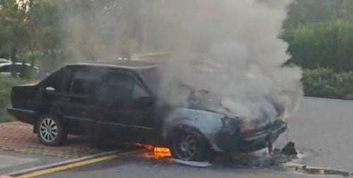 国产车燃油车自燃视频,揭秘自燃原因与预防措施